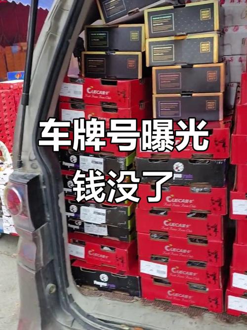 车牌号不翼而飞,老司机紧急寻牌记!