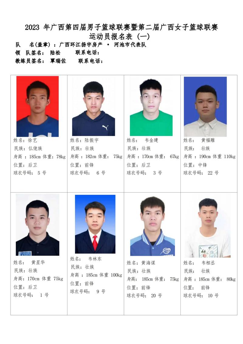河池车牌靓号,车牌中的明星闪耀广西