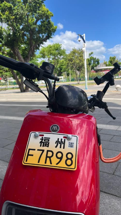 福州电动车牌最新查询攻略:一秒查到心仪车牌!