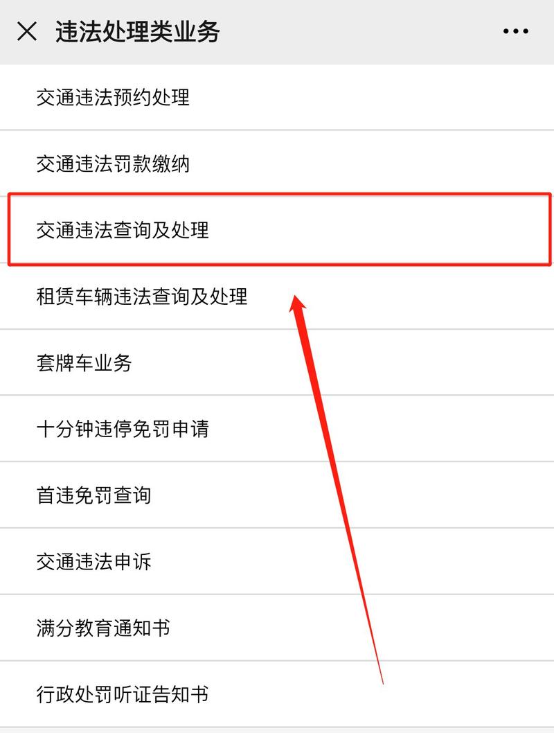 全国异地车牌违章一键查询,轻松掌握出行安全!