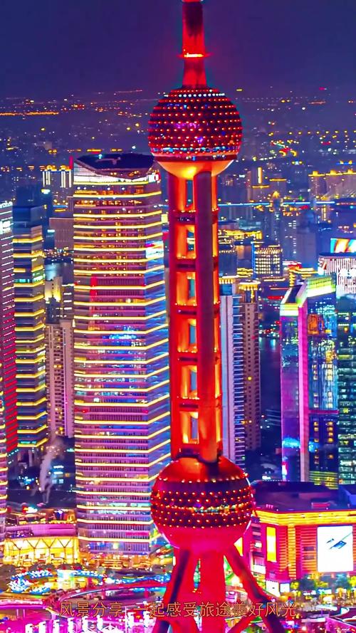 沪D车牌惊现网红区,上海这座繁华都市的神秘角落!