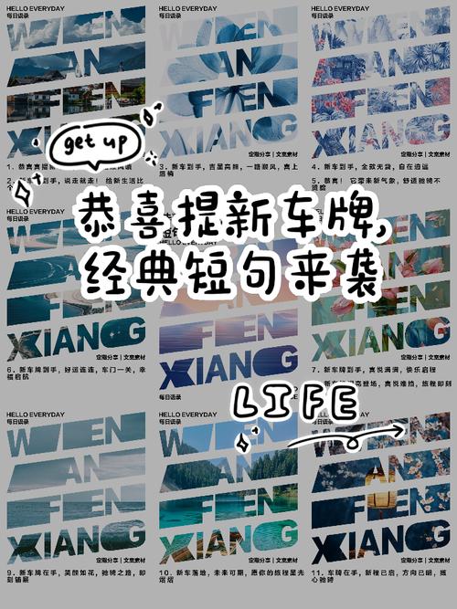 周口车牌靓号金玉良缘,车主喜提吉祥车牌