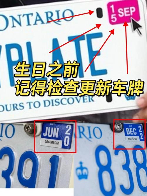 车牌N字母新规来袭,车主们注意啦!