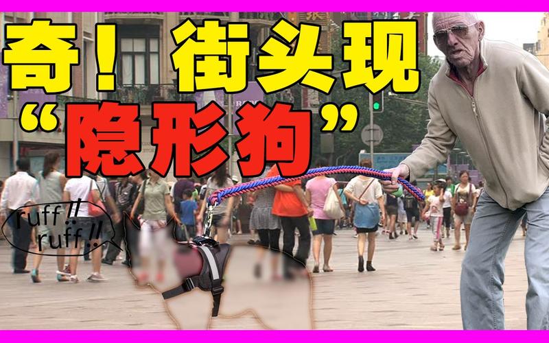 红色NS车牌惊现街头,引发网友热议!