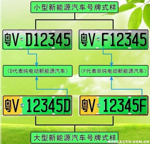 车牌号码大变脸:车主们能换新号码吗?政策变动
