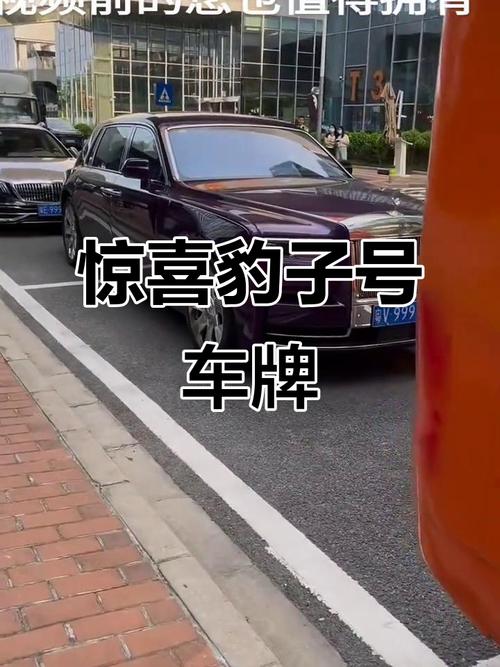 车牌惊现2K之谜:网友热议,这是什么意思?