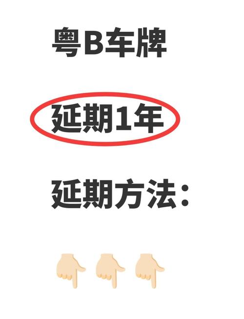 深圳车牌稀缺之谜:人均几块车牌,车主们如何应对?
