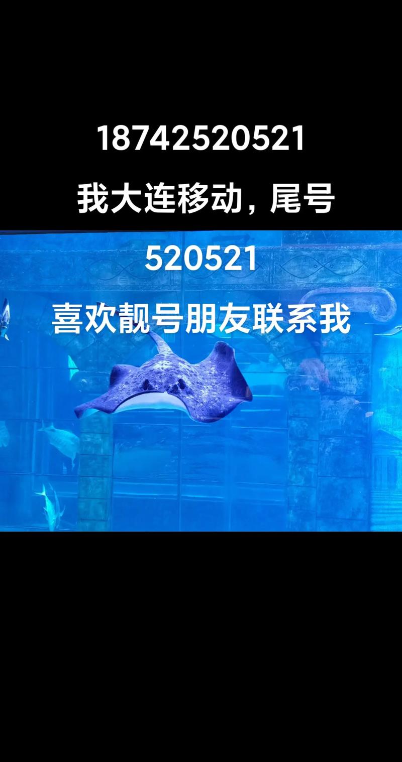 大连车牌靓号:价格,热门靓号价值几何?
