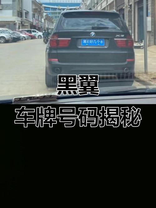 翼C车牌号:这辆豪车背后的神秘车主是谁?