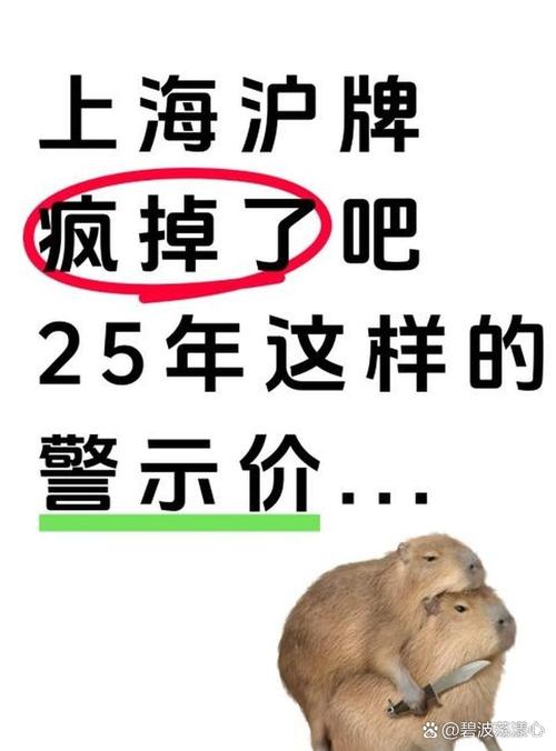 上海车牌价格波动:谁在操控这场疯狂的石头游戏?