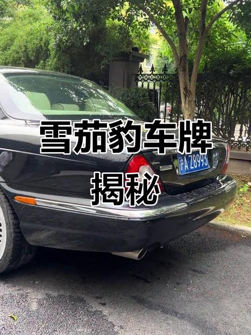 神秘车牌a00000引热议:背后的传奇故事!