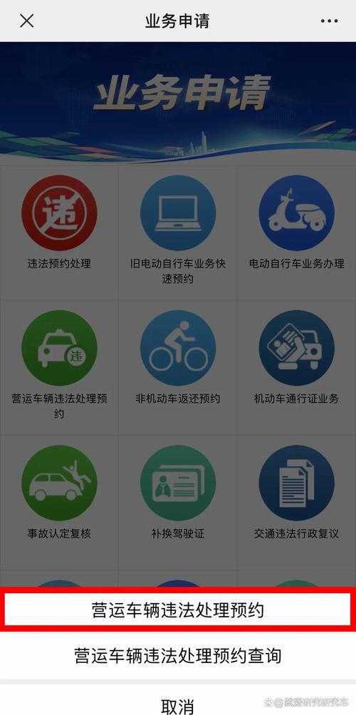 老司机秘籍:一招轻松获取车牌号,告别繁琐等待!