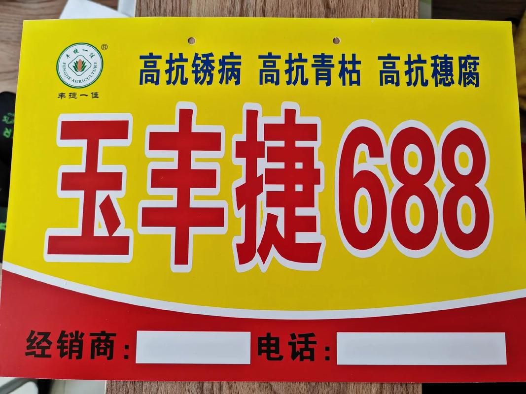 玉林车牌6888,尽显尊贵风采