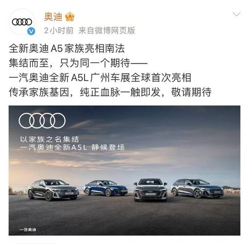 奥迪车牌靓号r引发热议,车牌文化再升温