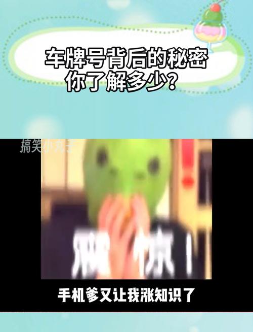 车牌号背后的秘密:一牌多车现象调查,车辆背后的真实数量!