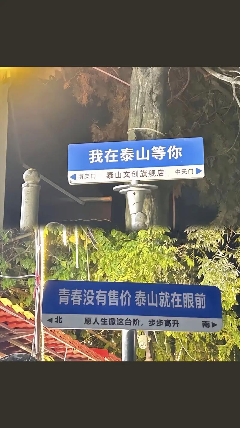 泰山脚下,车牌传奇:00554,数字里的泰安情怀