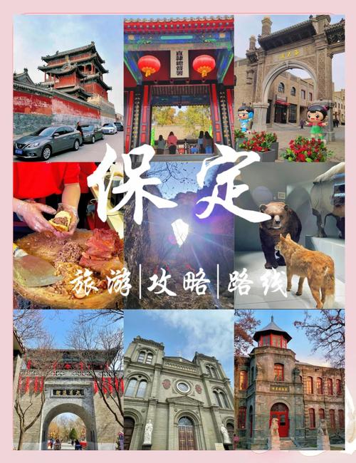 保定车牌靓号,探寻城市文化新符号