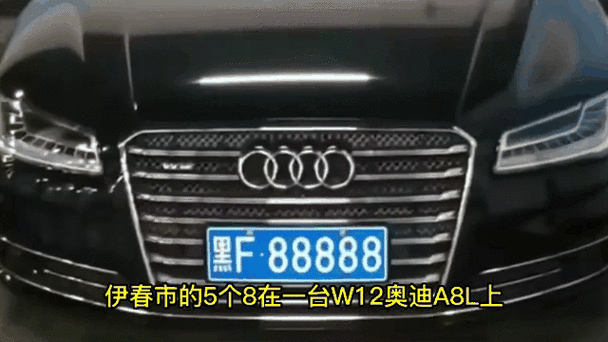 冰城车牌,靓号待寻,哈尔滨转让平台热力推荐