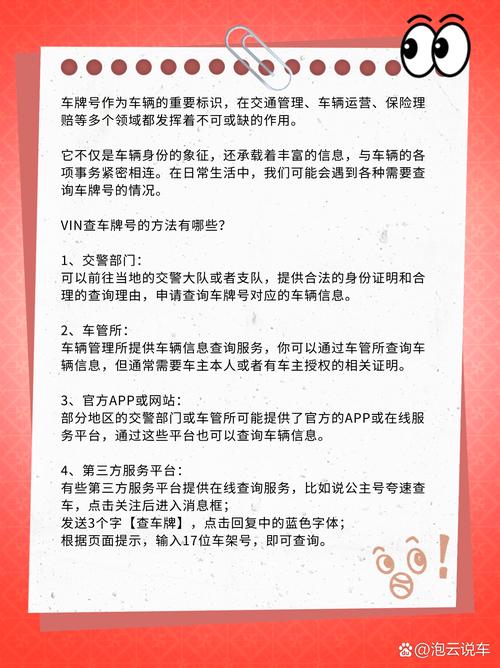 车牌照成侦探利器:一查便知车主身份,隐私安全谁来守护?
