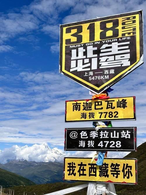 林芝车牌靓号,独特魅力等你揭晓