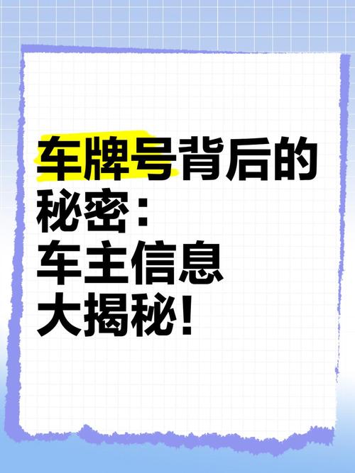 外地车牌车辆信息查询:车牌背后的秘密