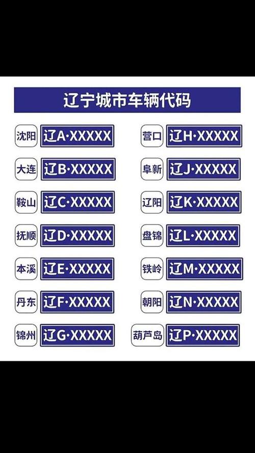 车牌字母组合新潮流,个性车牌魅力所在!