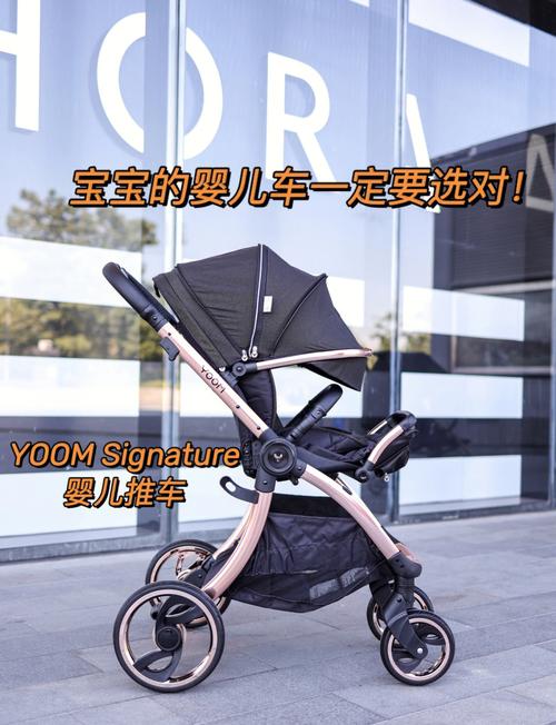 母婴必备,盘点十大热门婴儿车品牌,选对宝宝出行神器!