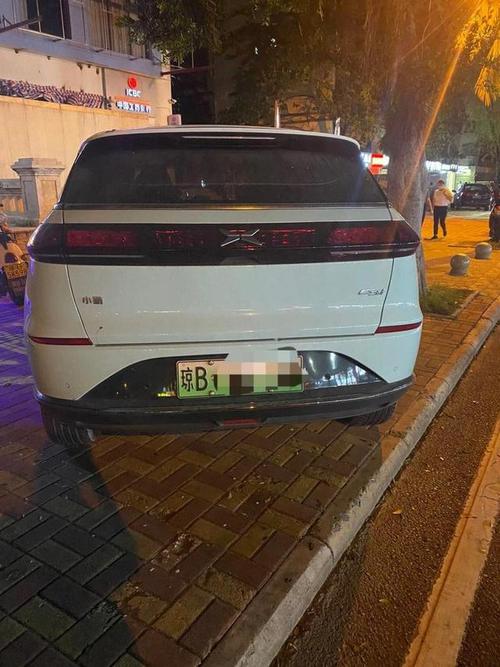海南车牌新风尚:以海开头的车牌,彰显个性魅力