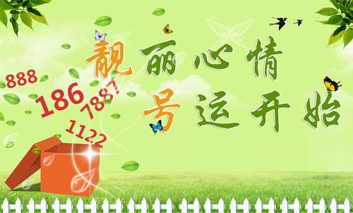 湖州车牌靓号,独具匠心,寻有缘人共鉴