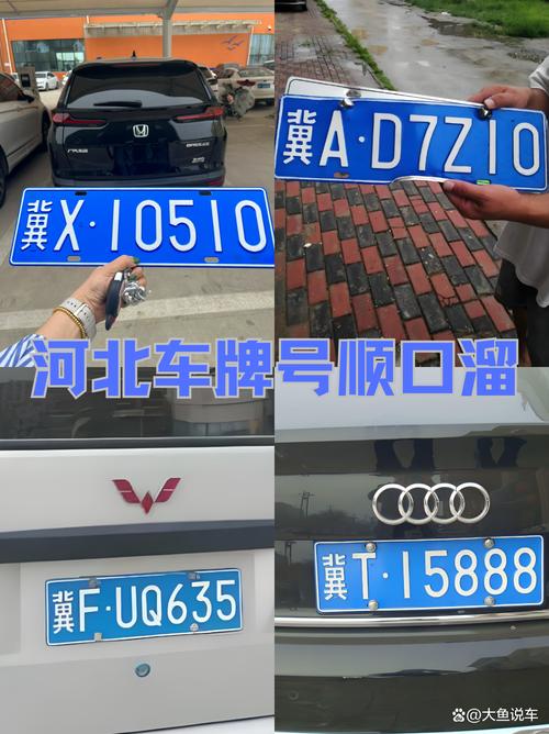 牌哥全国车牌靓号,车牌文化新潮流