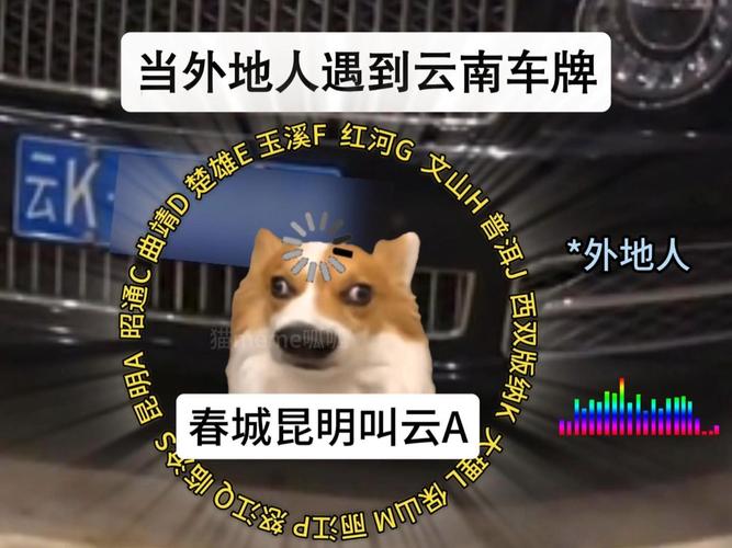 云之南,保山车牌靓号,寻觅有缘人