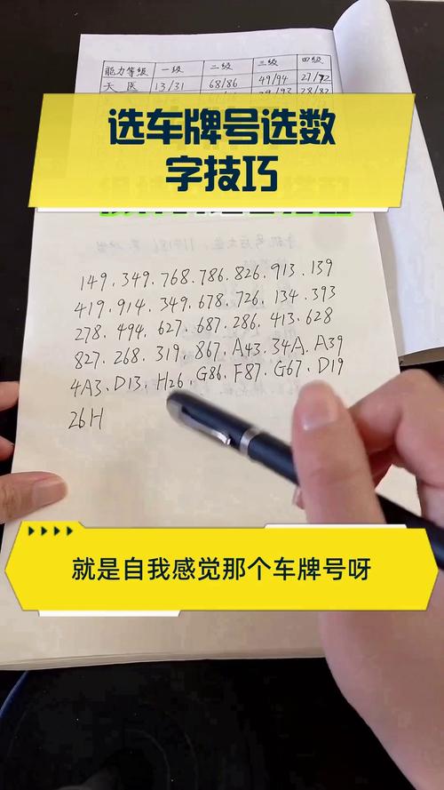 车牌号选号秘籍:如何挑选热门车牌号