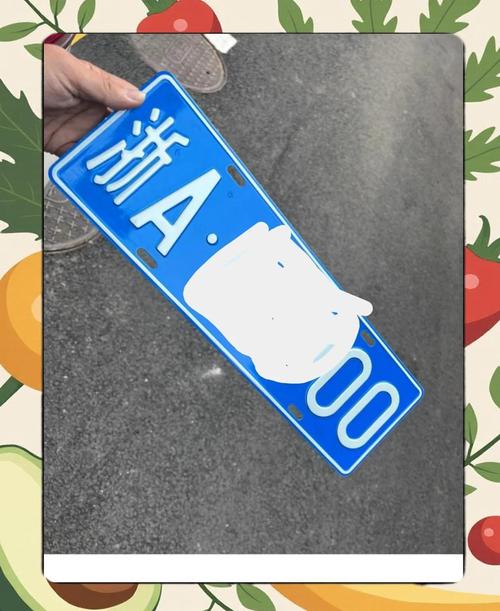 杭州车牌摇号资格审核新规来袭,这些条件你必须满足!