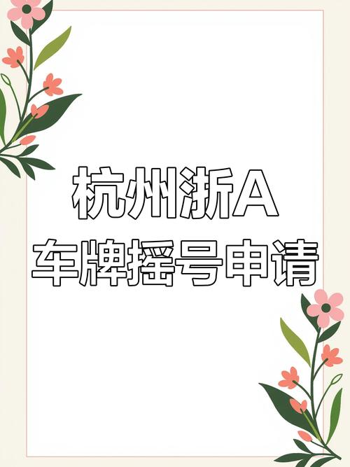 杭州车牌摇号资格审核新规来袭,这些条件你必须满足!