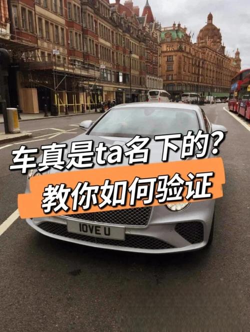 一招教你轻松查询车牌号有效期,告别逾期烦恼