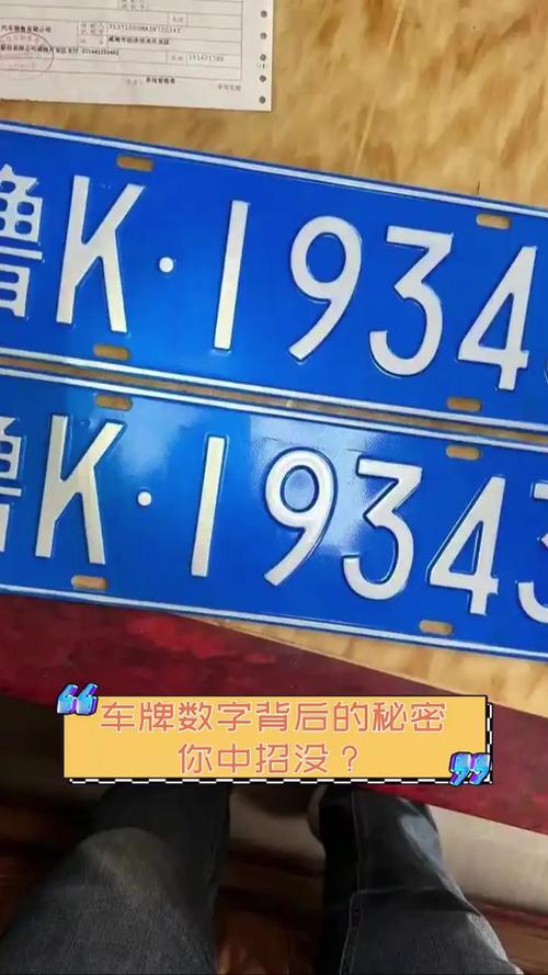 车牌号带‘领’字,竟隐藏惊人秘密!
