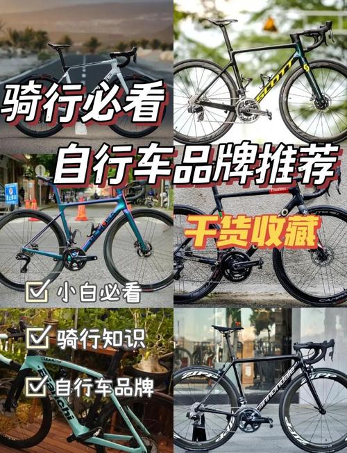 山地自行车品牌盘点:谁才是骑行江湖的佼佼者?