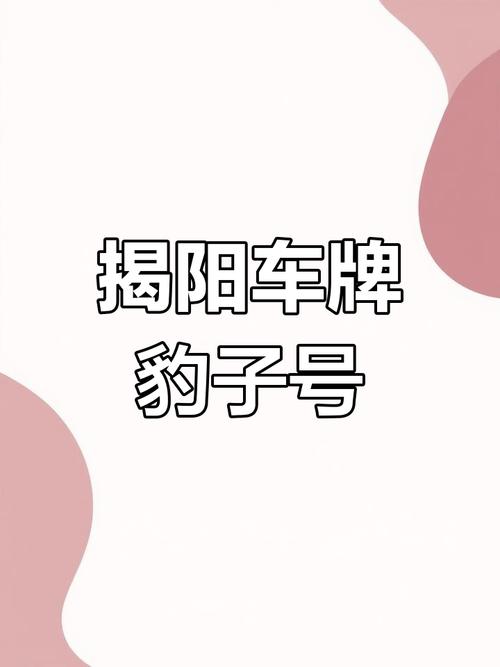 揭阳车牌靓号拍卖:号码背后的故事与传奇