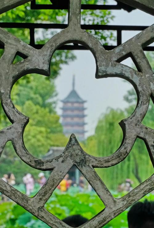 苏州车牌引领潮流,畅游拙政园,体验江南园林之美
