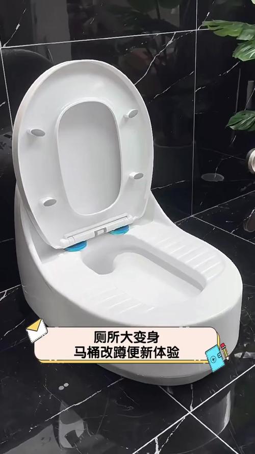 抽水马桶变身车牌新地标,创意安装引热议