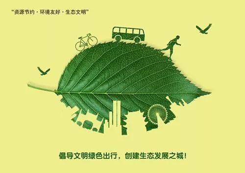 绿色车牌彰显环保情怀,黑字书写绿色出行新篇章