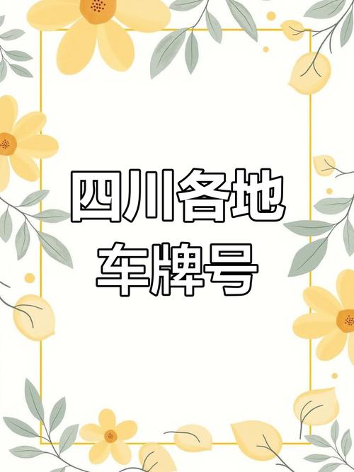 成都车牌028:是否为靓号,车牌价值几何?”