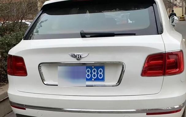 车牌中的珍品——豹子号车牌的魅力