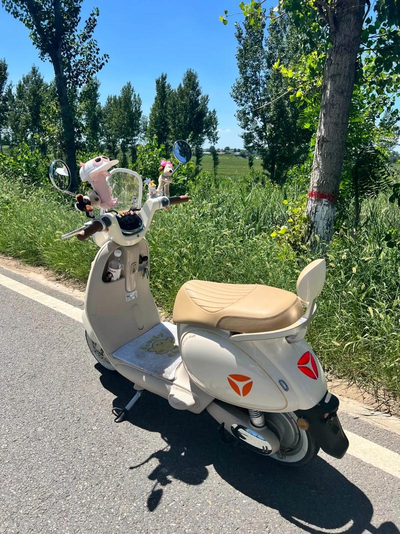 北京朝阳电动车新牌照亮相,绿色出行再升级!