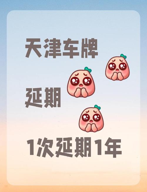 天津车牌一牌难求:车主们如何应对车牌荒?