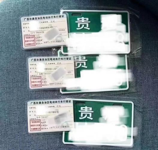 解码电动车牌照颜色:颜色差异背后的政策密码与市场解读