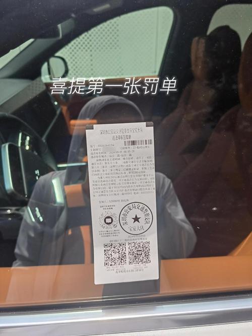 临牌未到期,车牌却先到,车主喜提新牌照!