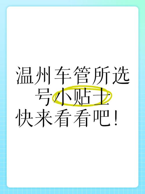 温州车牌号网上选号系统火爆来袭,车主们狂欢抢号!