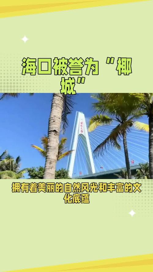 海口车牌靓号:见证城市发展的独特印记