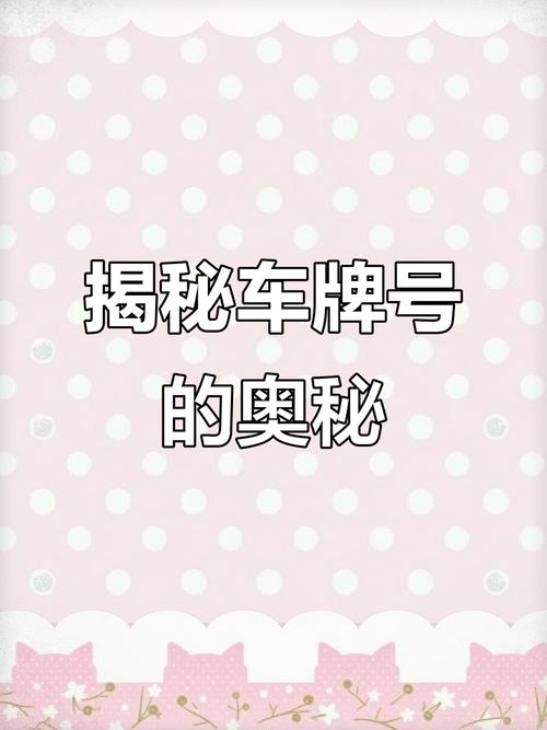 车牌双挂背后的秘密